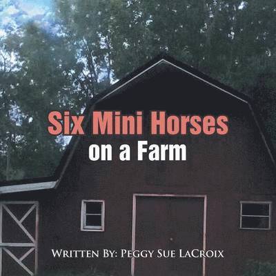 Six Mini Horses On a Farm 1