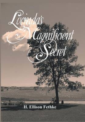 H Ellison Fethke, H. Ellison Fethke - Lucinda's Magnificient Secret, Inbunden