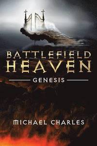 bokomslag Battlefield Heaven