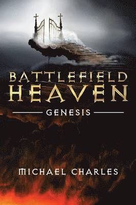 bokomslag Battlefield Heaven