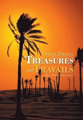 bokomslag Treasures and Travails