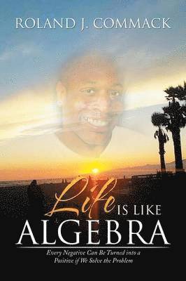 bokomslag Life Is Like Algebra