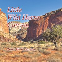 bokomslag Little Wild Horse Canyon