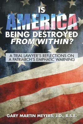 bokomslag Is America Being Destroyed from Within?