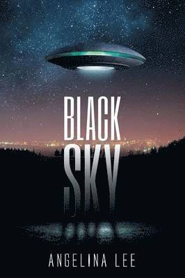 bokomslag Black Sky