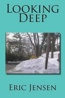 Eric Jensen - Looking Deep, Häftad