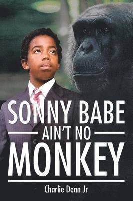 Sonny Babe Ain't No Monkey 1