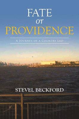 bokomslag Fate or Providence