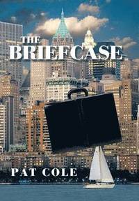 bokomslag The Briefcase