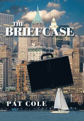 The Briefcase 1