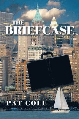 bokomslag The Briefcase