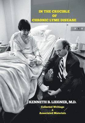 bokomslag In the Crucible of Chronic Lyme Disease