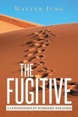 The Fugitive 1