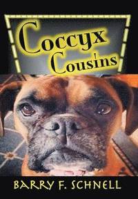 bokomslag Coccyx Cousins