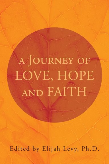 bokomslag Journey of Love, Hope and Faith