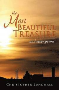 bokomslag Most Beautiful Treasure