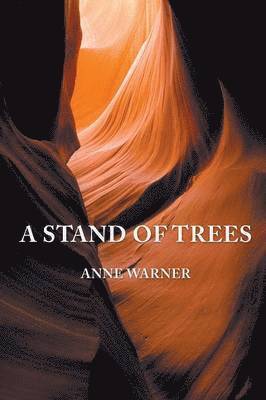 Anne Warner - Stand of Trees, Häftad