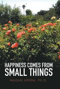 bokomslag Happiness Comes from Small Things