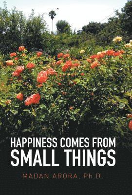 Happiness Comes from Small Things 1