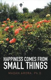 bokomslag Happiness Comes from Small Things