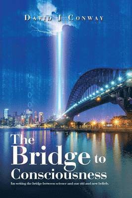 Bridge to Consciousness
