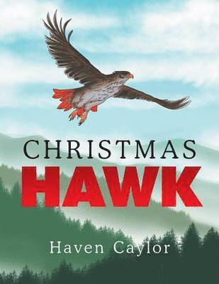 Christmas Hawk 1