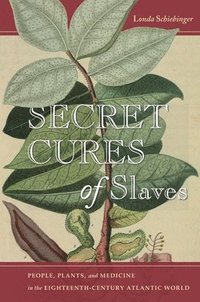 bokomslag Secret Cures of Slaves