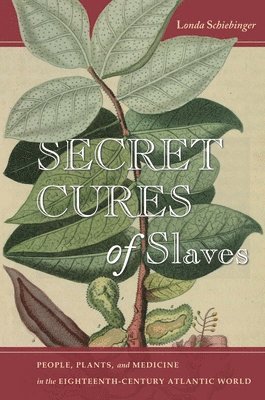 Secret Cures of Slaves 1
