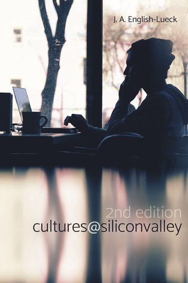 bokomslag Cultures@SiliconValley