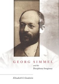 bokomslag Georg Simmel and the Disciplinary Imaginary