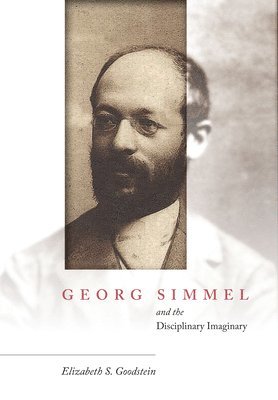 bokomslag Georg Simmel and the Disciplinary Imaginary