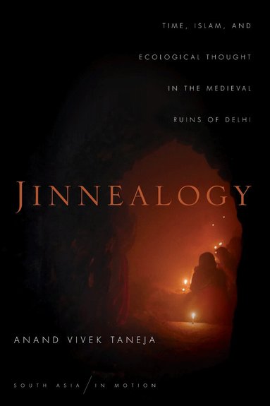Anand Vivek Taneja - Jinnealogy, Häftad