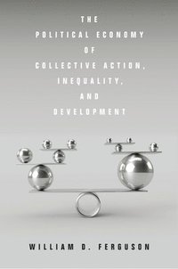 bokomslag Political Economy of Collective Action, Inequality, and Development