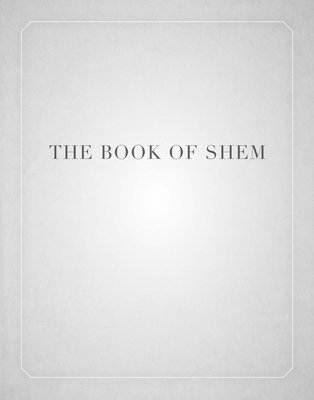 bokomslag The Book of Shem