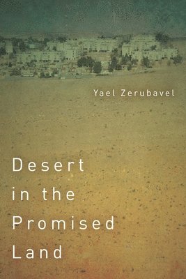 Desert in the Promised Land 1