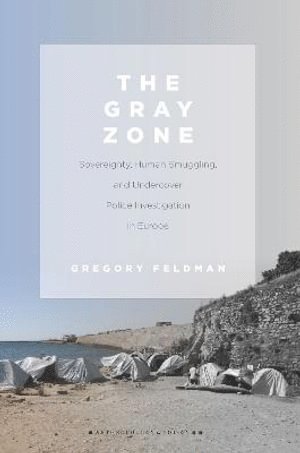 Gregory Feldman - Gray Zone, Häftad