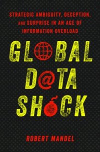 bokomslag Global Data Shock