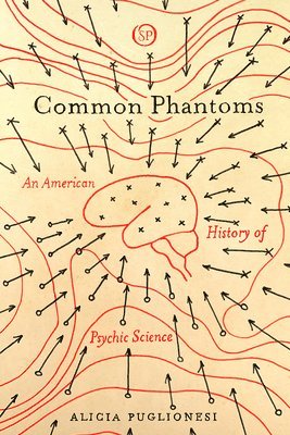 bokomslag Common Phantoms