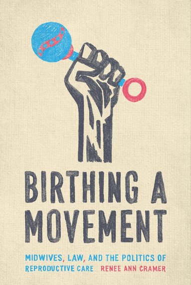 Renée Ann Cramer - Birthing a Movement, Inbunden