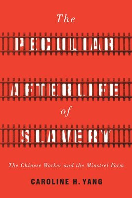 bokomslag Peculiar Afterlife of Slavery