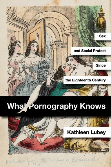 Kathleen Lubey - What Pornography Knows, Inbunden