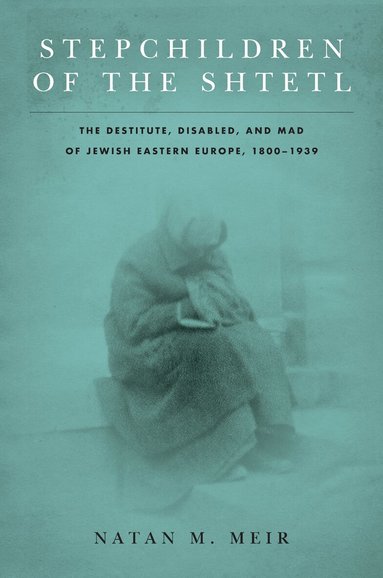 Natan M. Meir - Stepchildren of the Shtetl, Inbunden