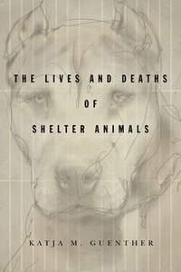 bokomslag The Lives and Deaths of Shelter Animals