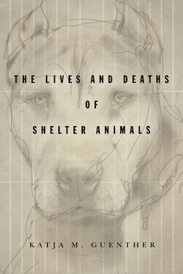 bokomslag Lives and Deaths of Shelter Animals
