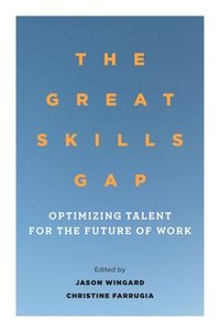 bokomslag The Great Skills Gap