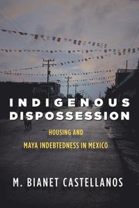 bokomslag Indigenous Dispossession