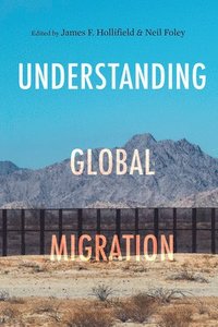 bokomslag Understanding Global Migration