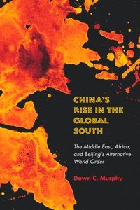 bokomslag China's Rise in the Global South