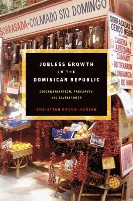 bokomslag Jobless Growth in the Dominican Republic