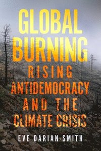 bokomslag Global Burning